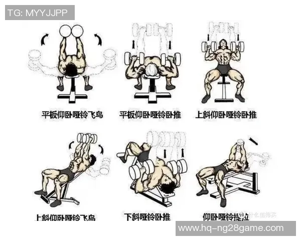 有效哑铃锻炼胸肌的多种动作解析与训练技巧分享